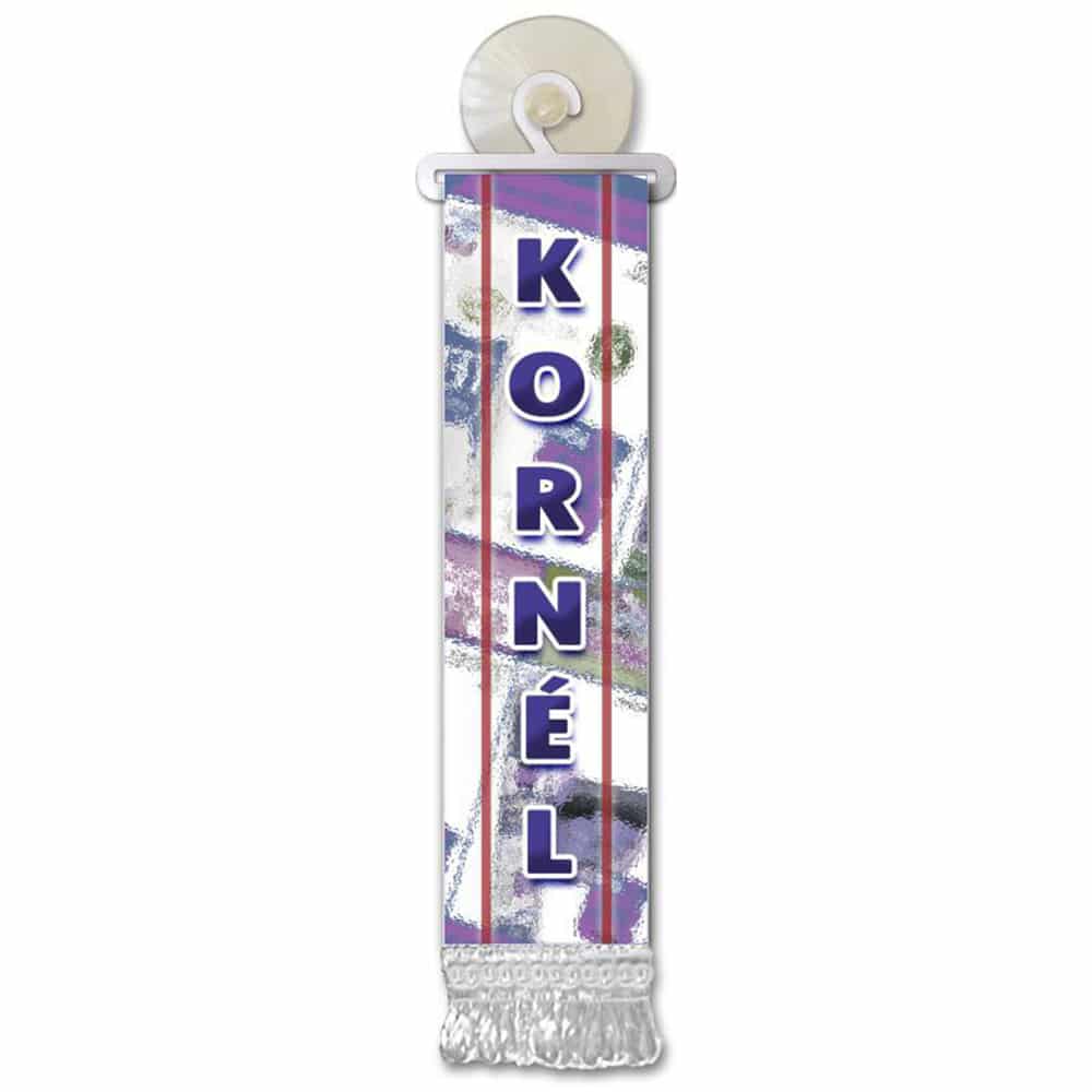 Mini bandera personalizada con ventosa (Nombres F-L)