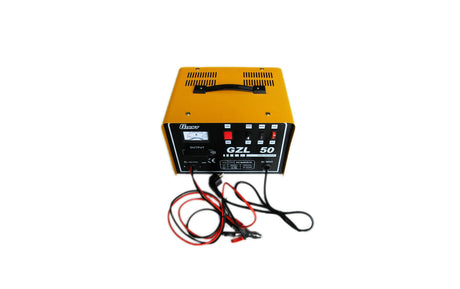 Car Battery Charger 30/20A