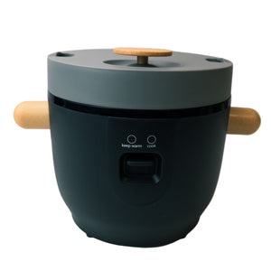 Rice Cooker 24V 3L